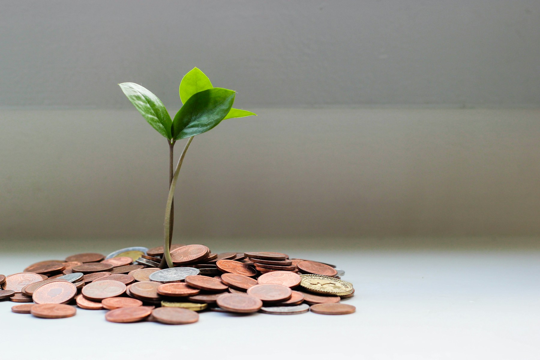 NBFC Services